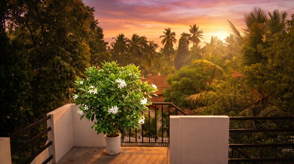 Balcony Flowering Tree & Sunset Canopy