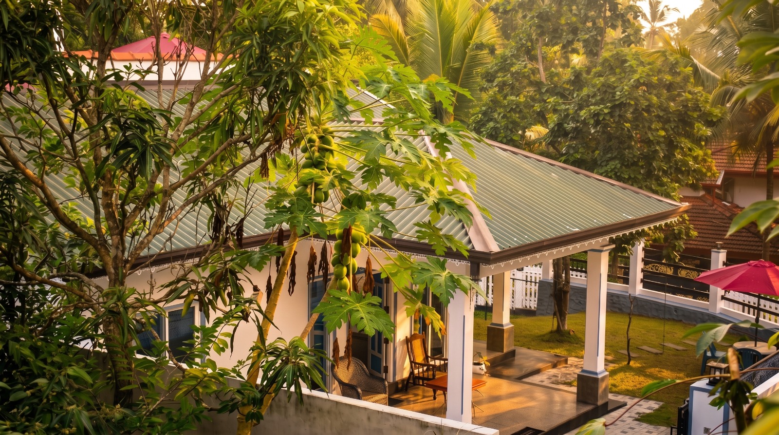 Tropical Fruit Garden & Greenery